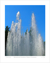 Botanical Gardens Water Fountain