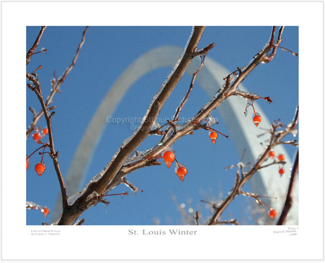 St. Louis Winter - Plate 1